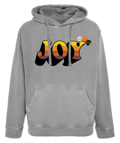 Hoodie jagger grey "JOY FW23" online