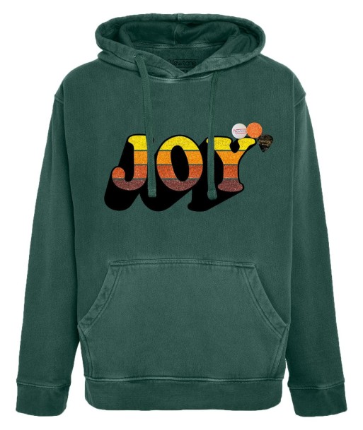 Hoodie jagger forest "JOY FW23" une grave pollution 